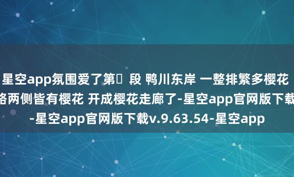 星空app氛围爱了第❷段 鸭川东岸 一整排繁多樱花 p2第❸段 鸭川东岸 路两侧皆有樱花 开成樱花走廊了-星空app官网版下载v.9.63.54-星空app
