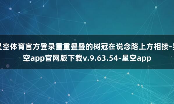 星空体育官方登录重重叠叠的树冠在说念路上方相接-星空app官网版下载v.9.63.54-星空app
