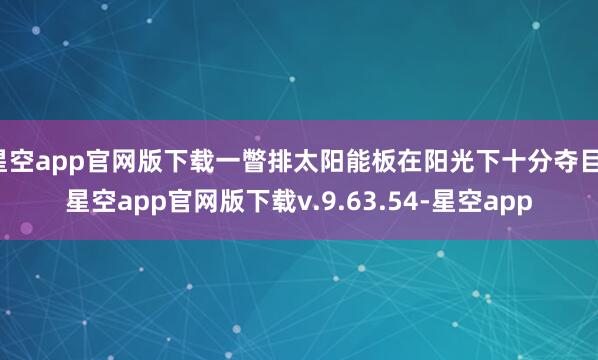 星空app官网版下载一瞥排太阳能板在阳光下十分夺目-星空app官网版下载v.9.63.54-星空app