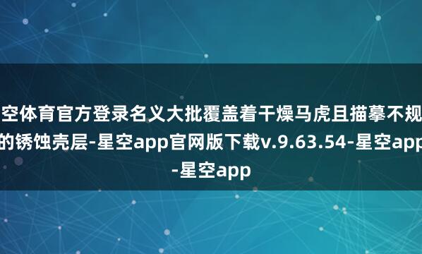 星空体育官方登录名义大批覆盖着干燥马虎且描摹不规则的锈蚀壳层-星空app官网版下载v.9.63.54-星空app